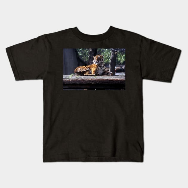 Tiger #1 - London Zoo Kids T-Shirt by Bierman9